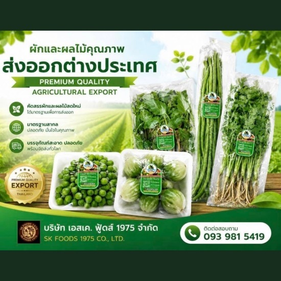 Fresh Thai fruits and vegetables exporter