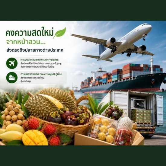 Thailand Agricultural Products - บริษัทส่งออกผักผลไม้ตามฤดูกาล