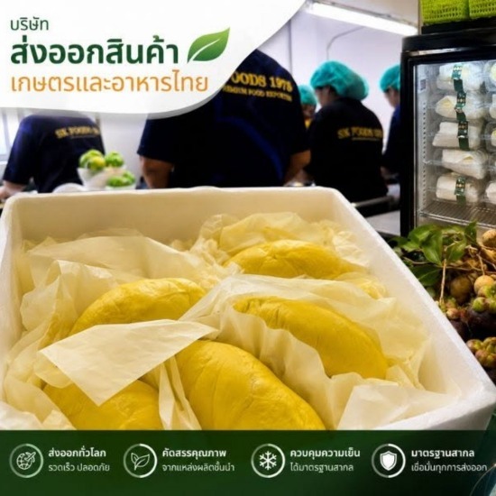 ทุเรียนแกะเนื้อส่งออก